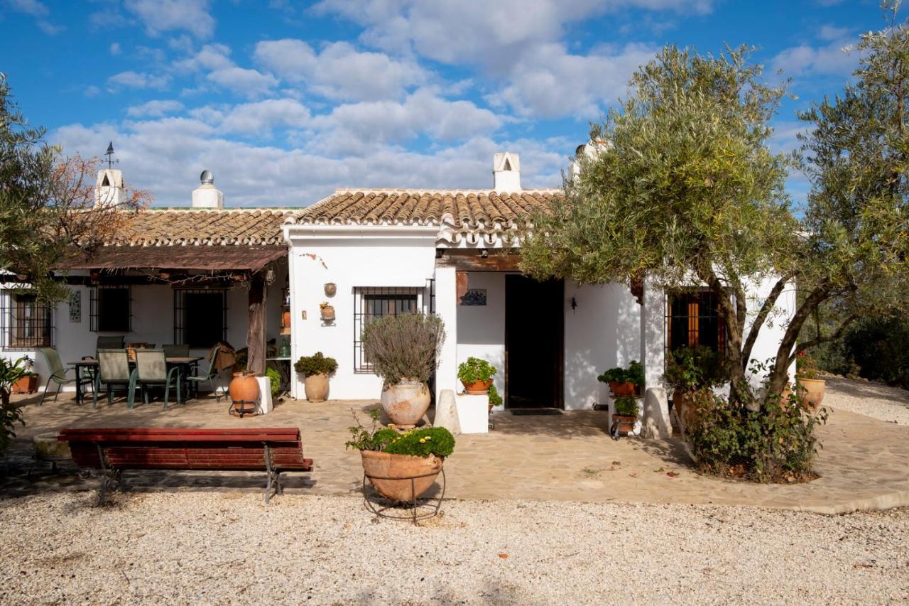 Refugio Andaluz Con Piscina Entre Olivos Villanueva de Tapia Exterior foto