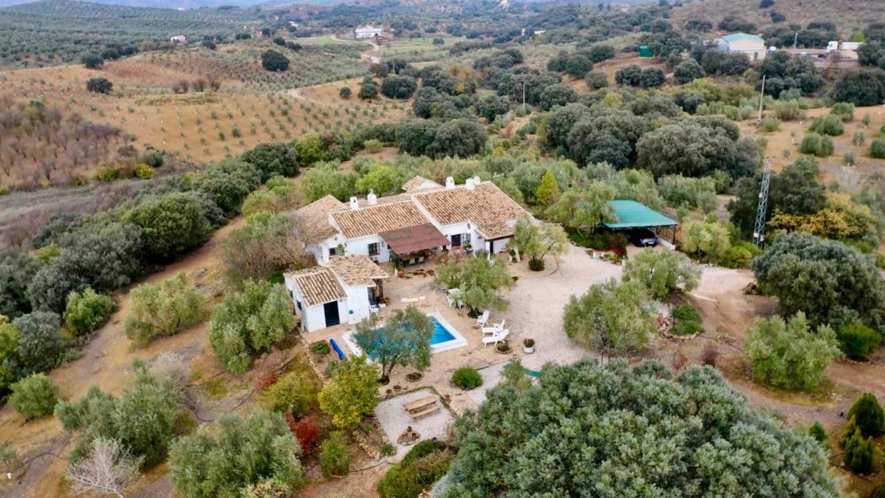 Refugio Andaluz Con Piscina Entre Olivos Villanueva de Tapia Exterior foto